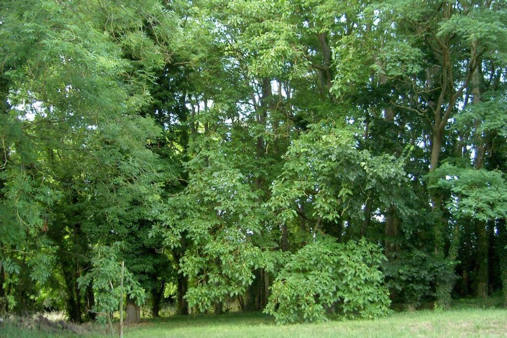 Апартаменты Aux Nobles Acacias Epagne-Epagnette Экстерьер фото